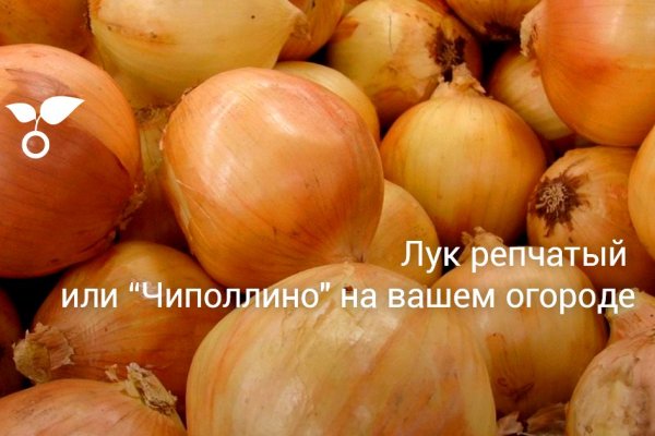 Кракен пишет пользователь не найден
